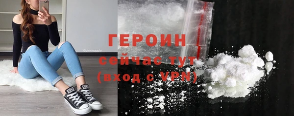 гидра Арсеньев