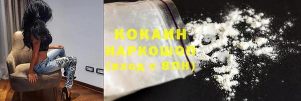 гидра Арсеньев