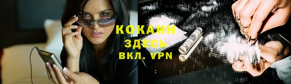 гидра Арсеньев
