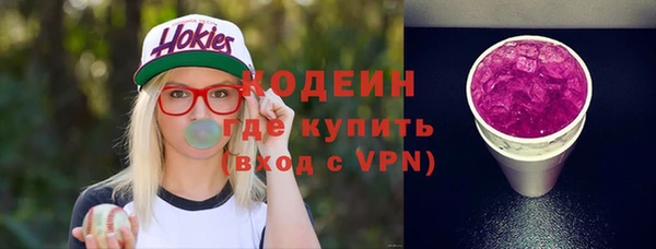 гидра Арсеньев