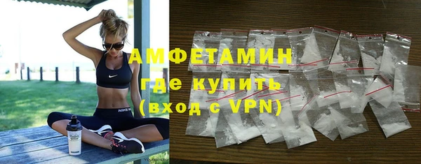 гидра Арсеньев
